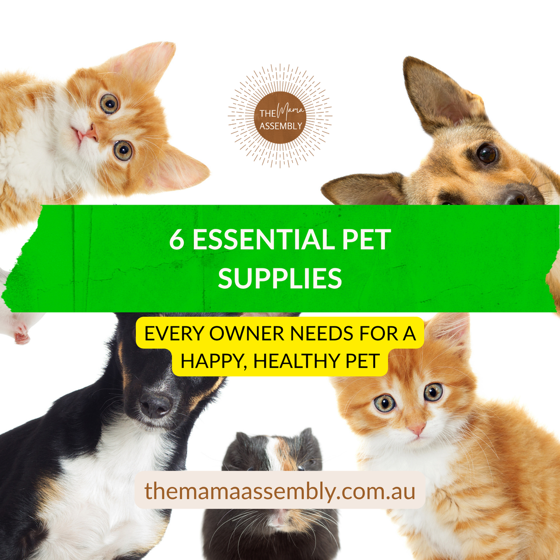 Pinterest blog graphic with the title “The Pet Supplies I Didn’t Know I Needed.” Designed in soft, neutral tones with fun, playful branding. Promotes a blog post sharing practical and surprising pet essentials for everyday life with cats and dogs.