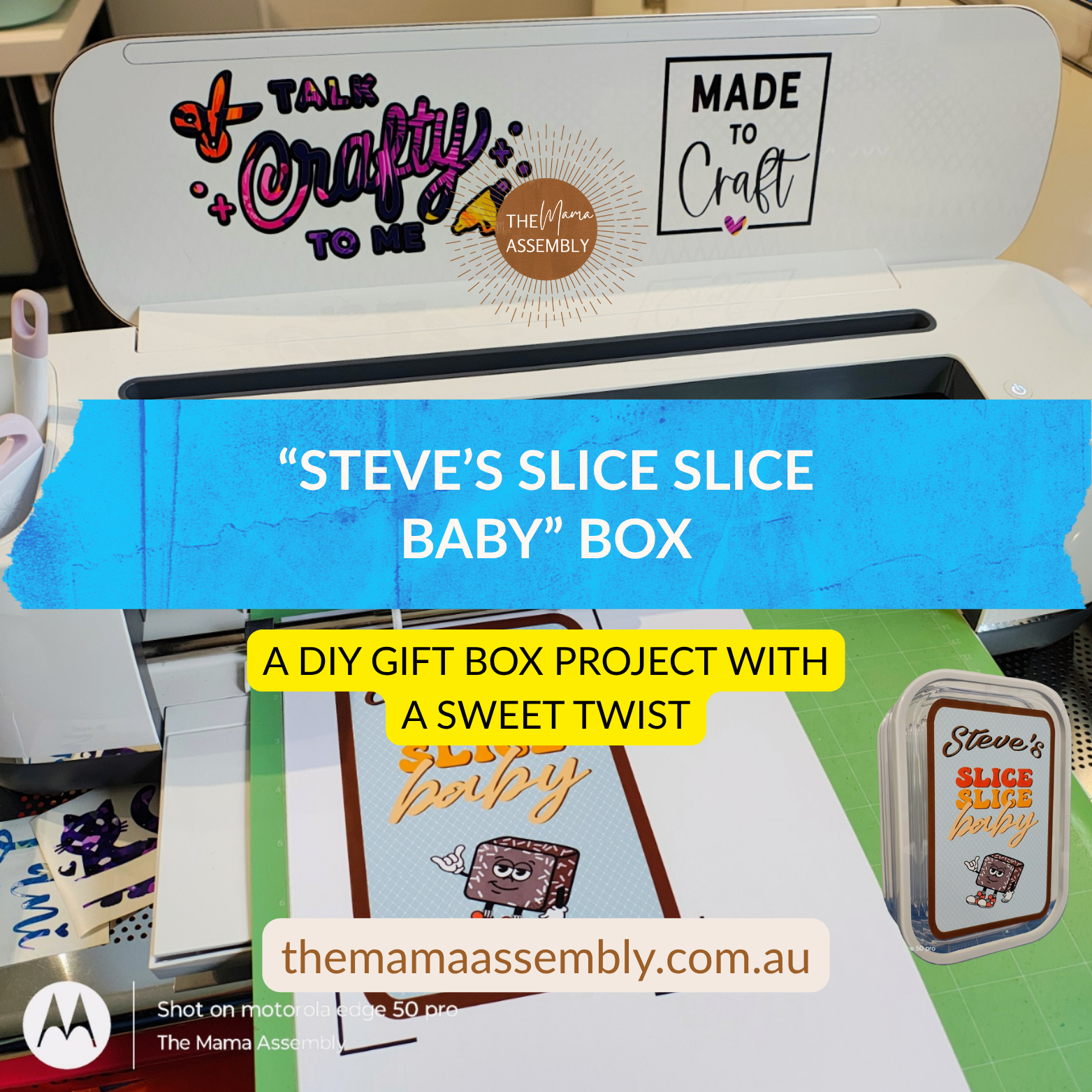 Steve's slice slice baby clear plastic container by Harlan House & Home