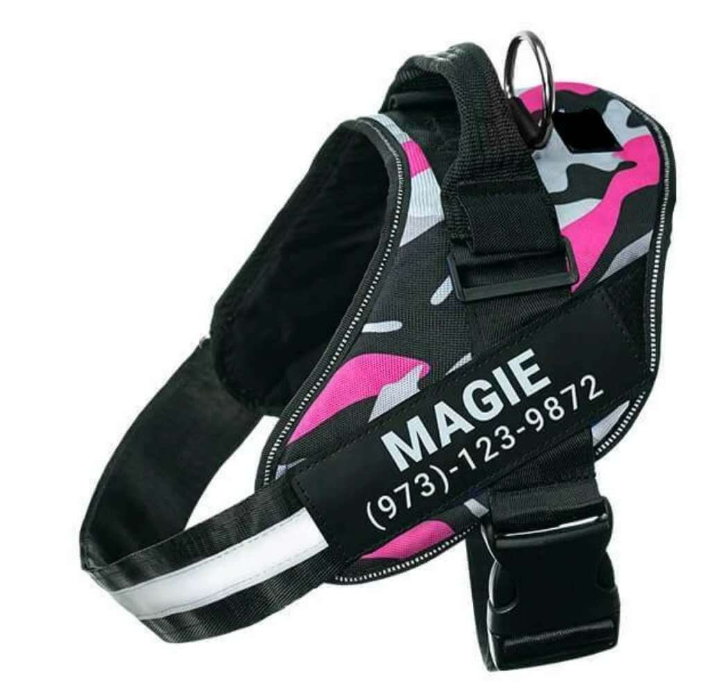 Personalised No-Pull Dog Harness | Harlan House & Home