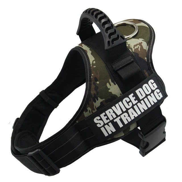 Personalised No-Pull Dog Harness | Harlan House & Home