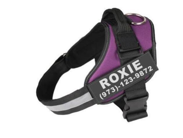 Personalised No-Pull Dog Harness | Harlan House & Home