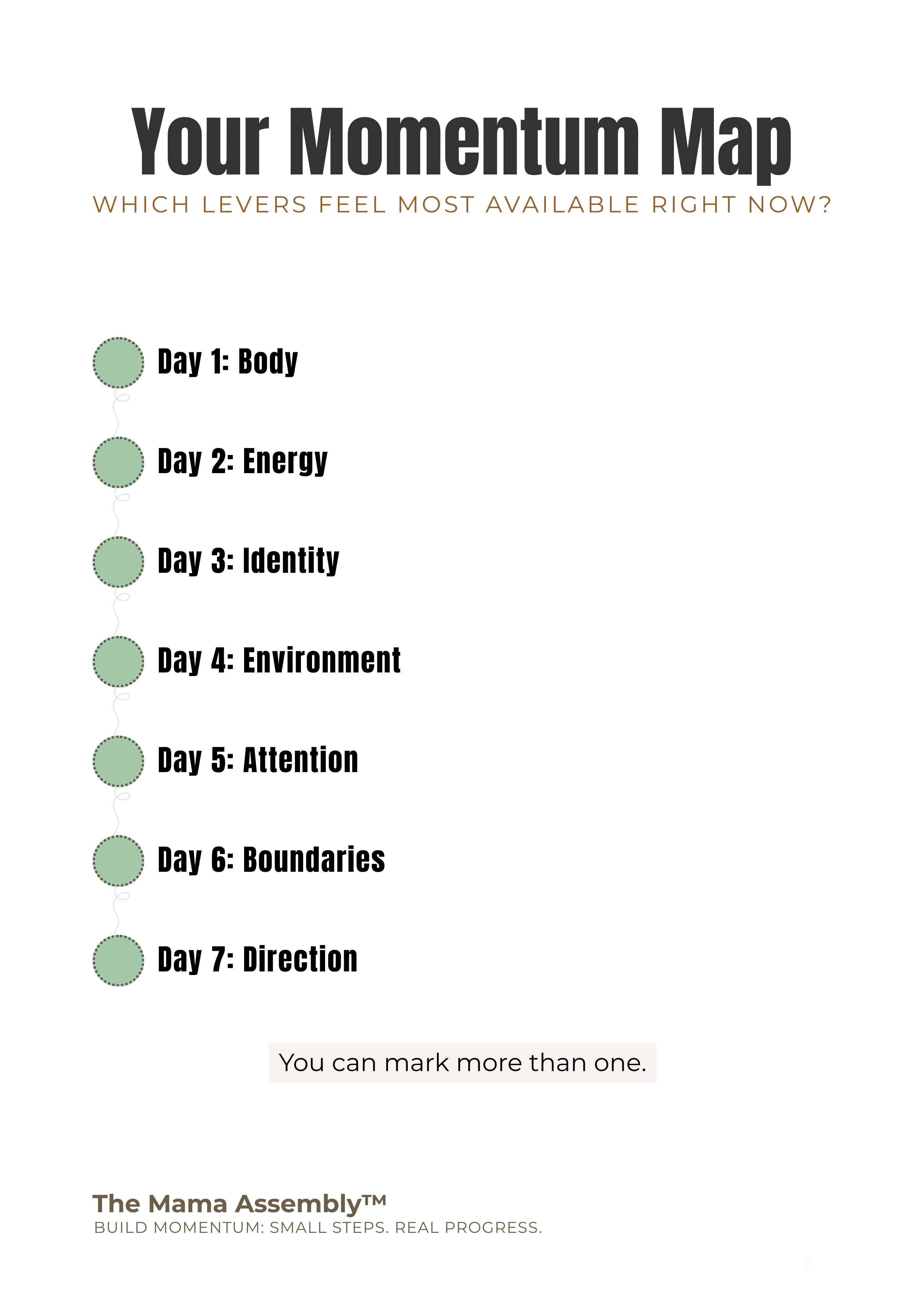 Your Momentum Map page showing the seven momentum levers with checkboxes to identify which areas feel most available right now.