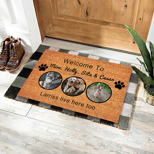 Custom Doormat – Non-Slip Thickened Flannel Entrance Rug, Washable & Durable