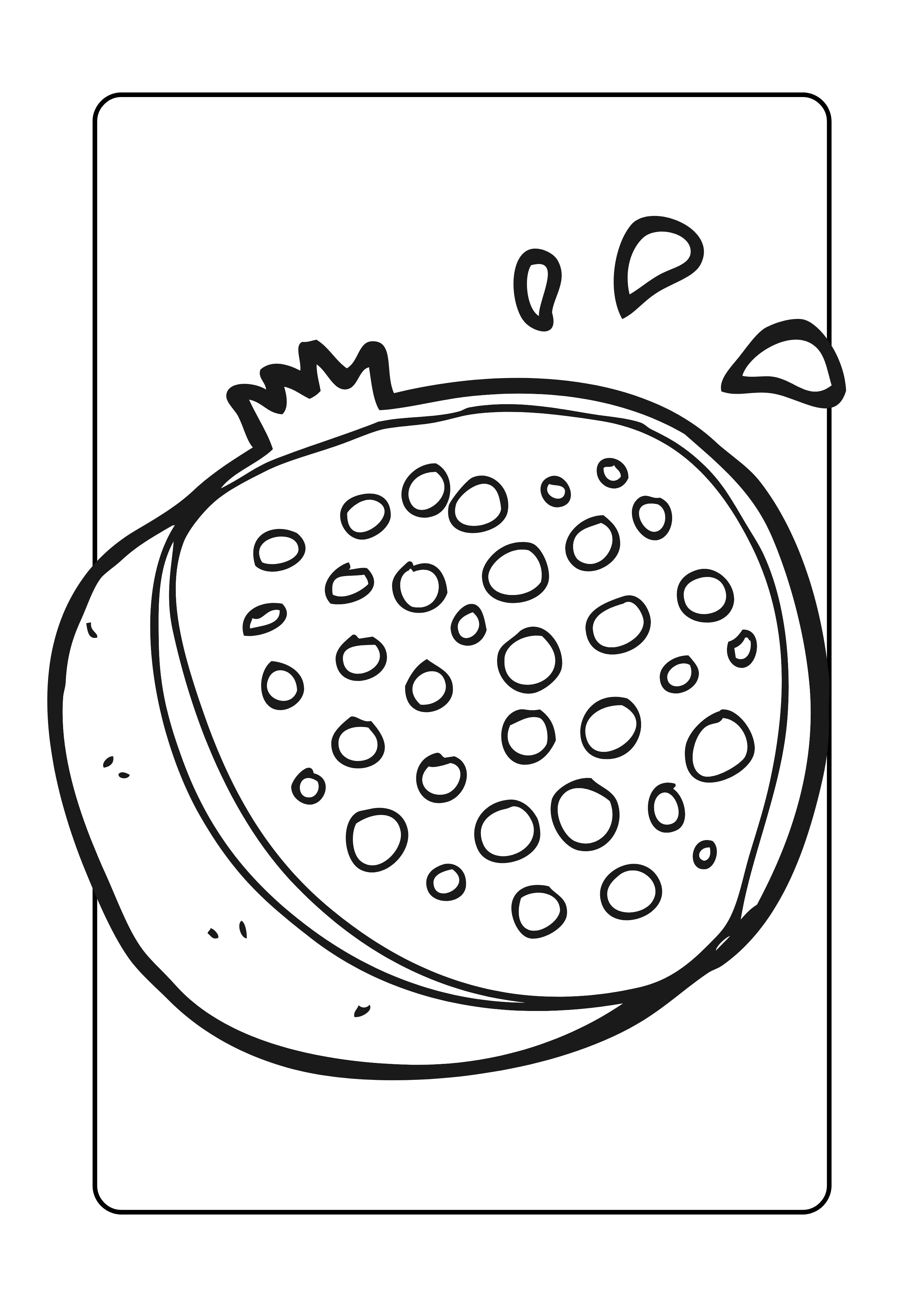 Black and white line drawing of a passion fruit on a rectangular background
