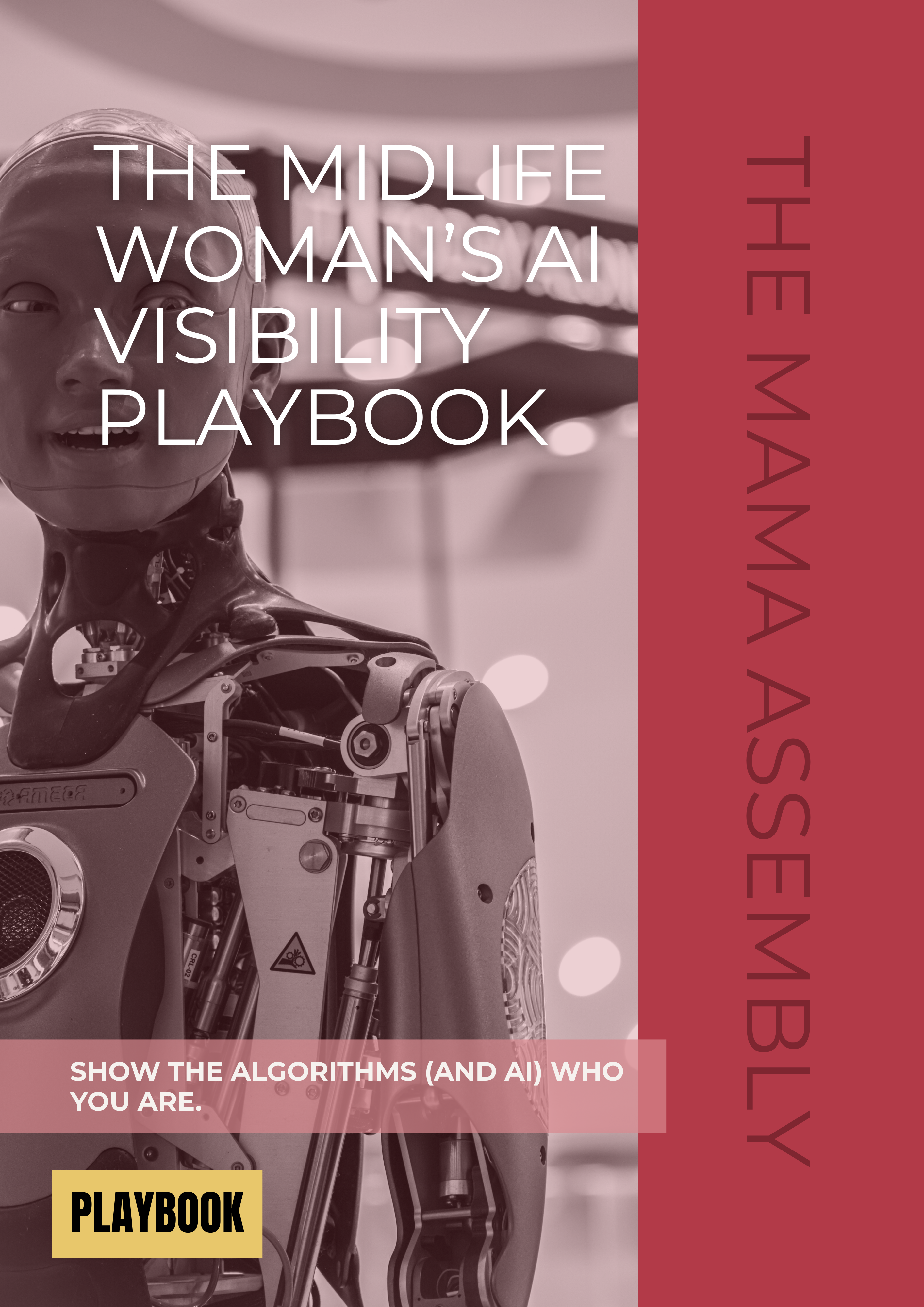 Book cover of 'The Midlife Woman's AI Visibility Playbook' with a robot and woman's face.