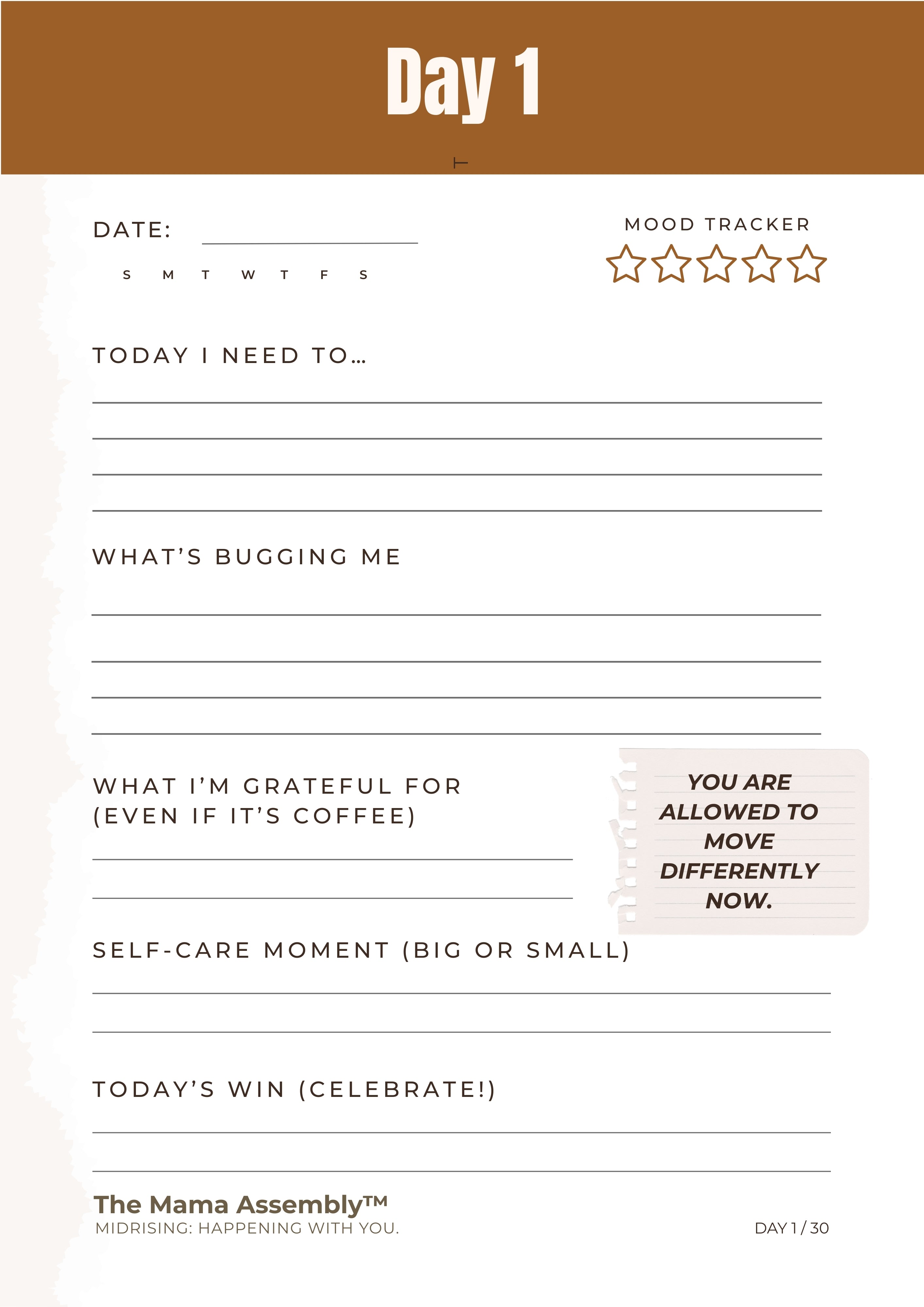 Mental health journal with daily tracking sections on a white background