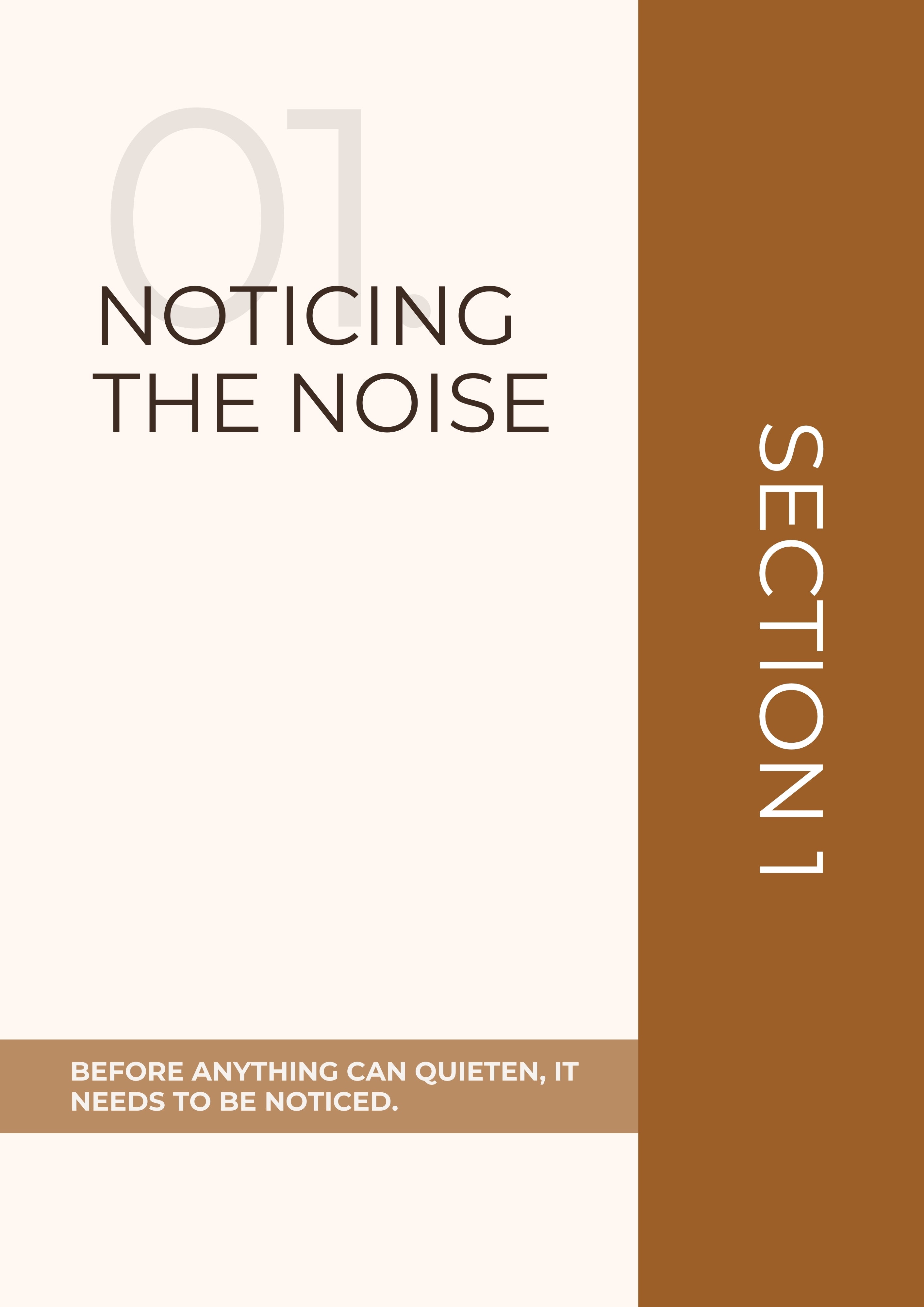 Book cover with 'Noticing the Noise' and 'Section 1' text on a white and brown background
