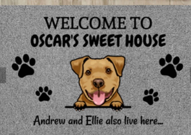 Custom Doormat – Non-Slip Thickened Flannel Entrance Rug, Washable & Durable