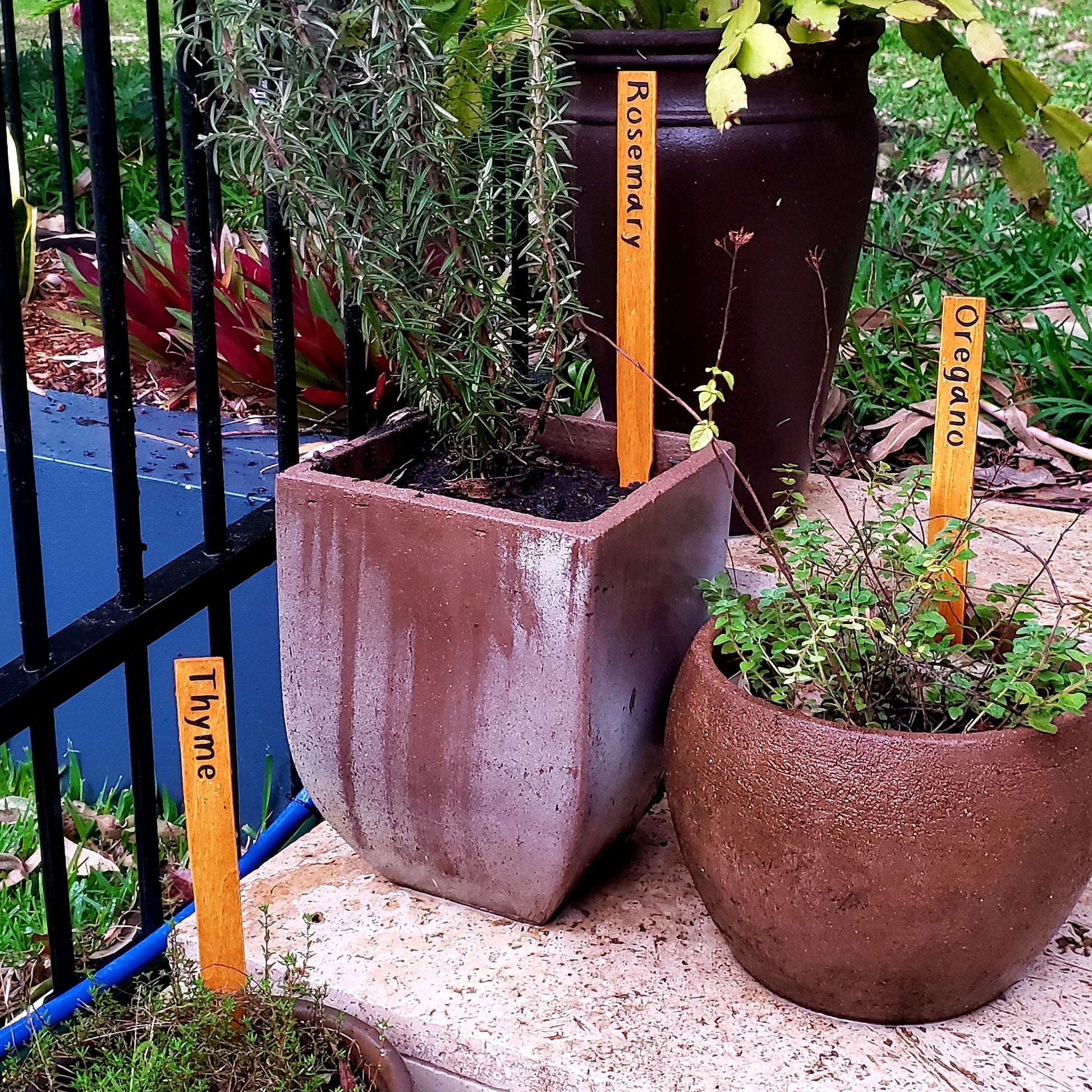 Personalised Plant Markers - Herb, Vegetables, Plants (Just for fun) - Harlan House & Home