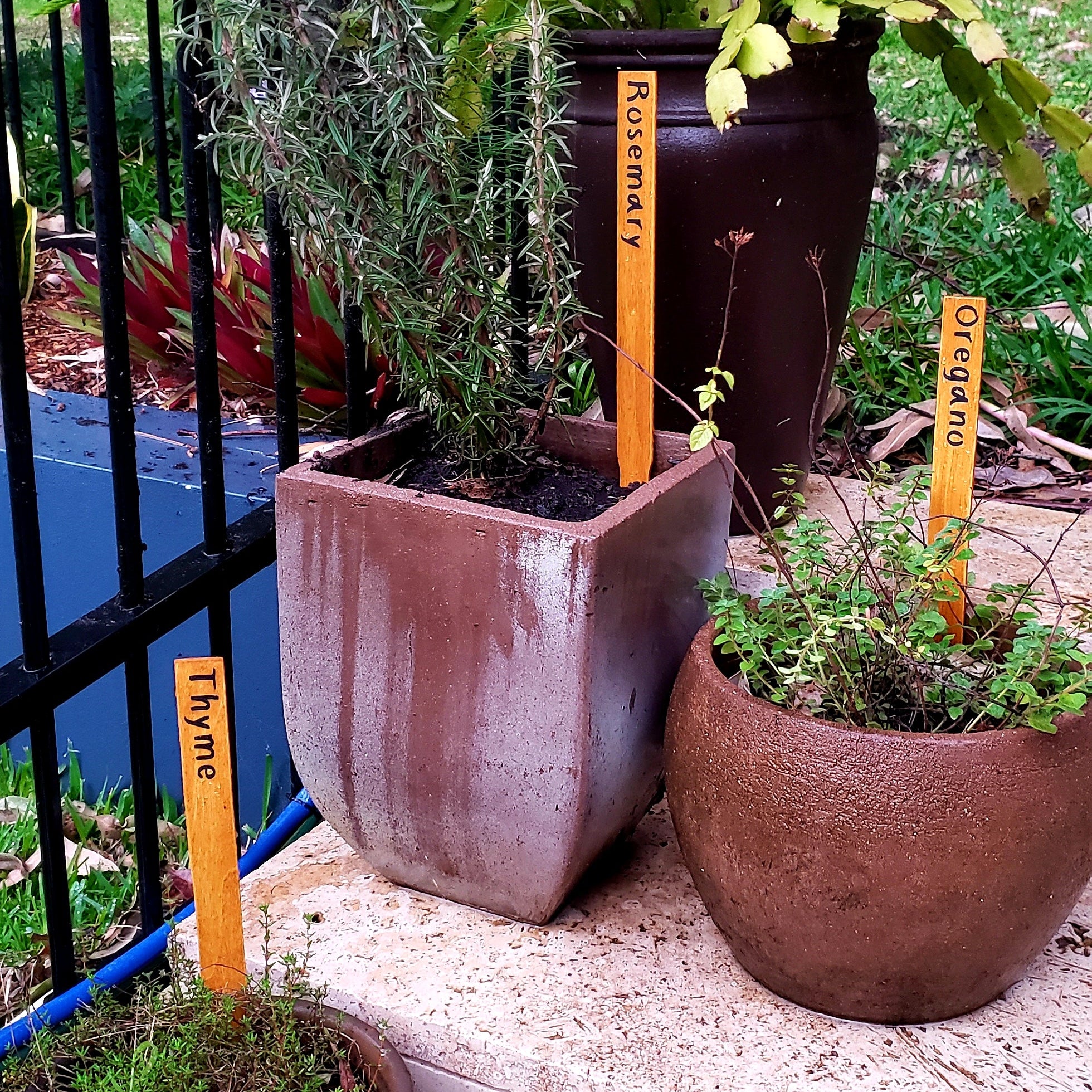 Personalised Plant Markers - Herb, Vegetables, Plants (Just for fun) - Harlan House & Home