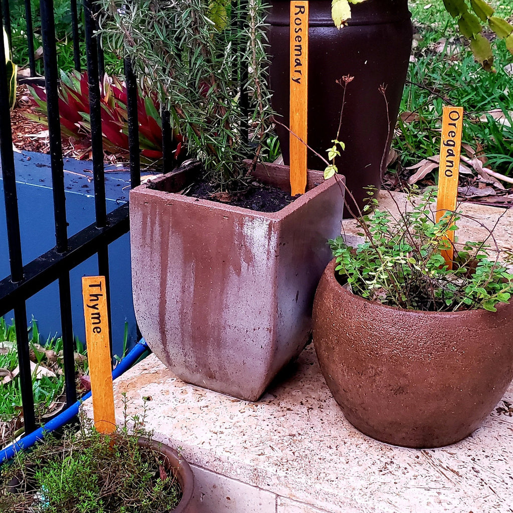 Personalised Plant Markers - Herb, Vegetables, Plants (Lemonade Fabrica) - Harlan House & Home