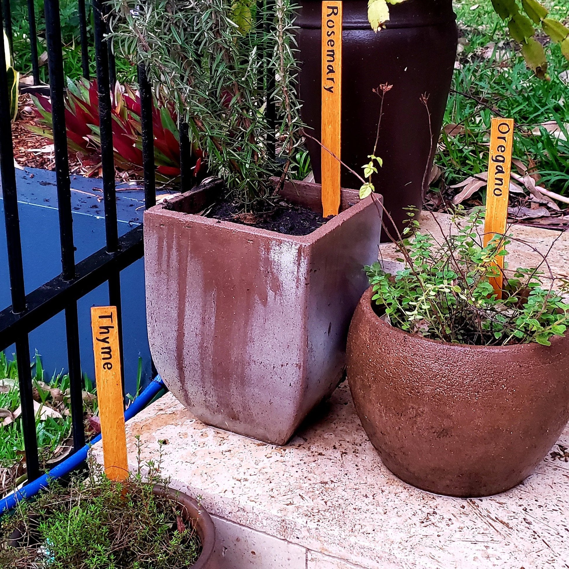 Personalised Plant Markers - Herb, Vegetables, Plants (Lemonade Fabrica) - Harlan House & Home