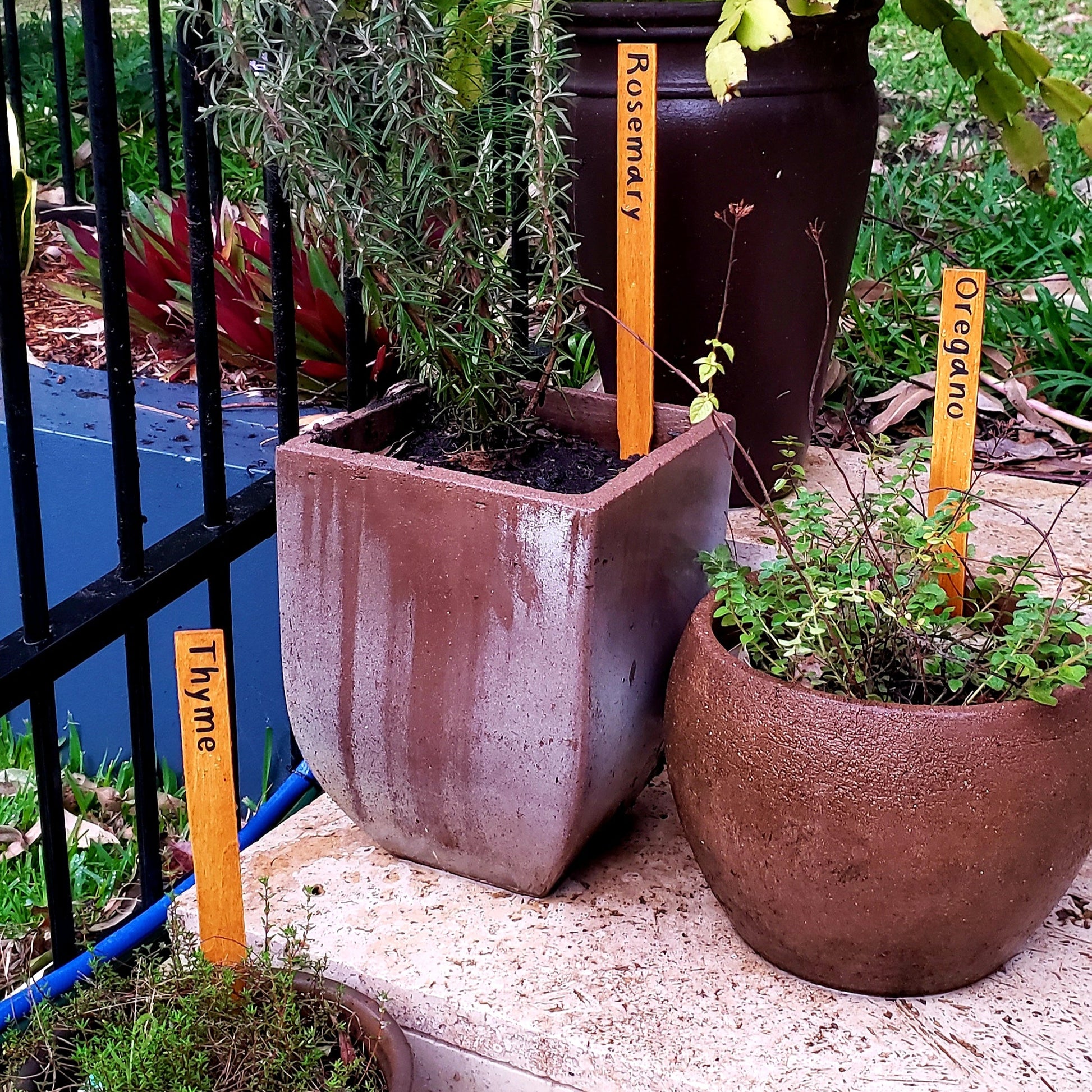 Personalised Plant Markers - Herb, Vegetables, Plants (Lemonade Fabrica) - Harlan House & Home
