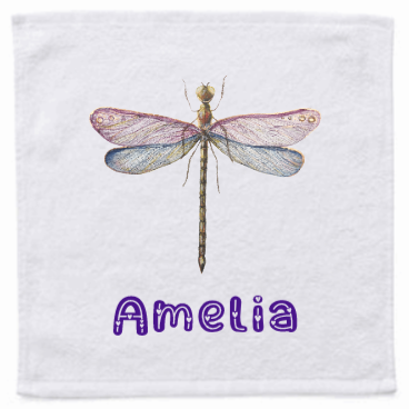 Set of 3 x Personalised Face Washers - Dragonflies