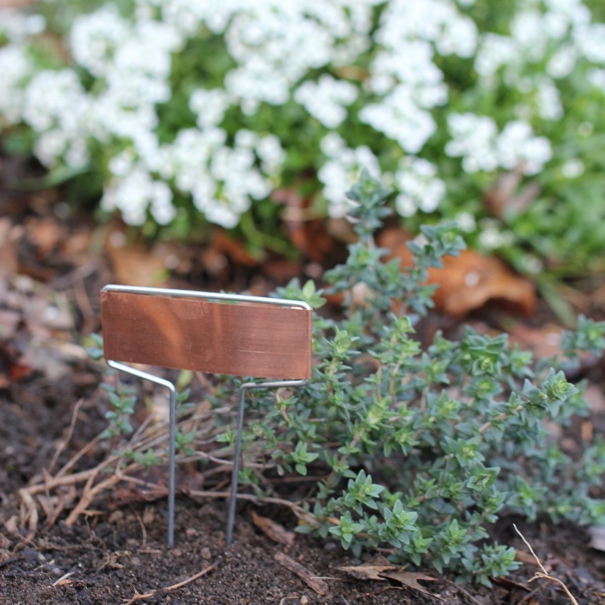 Copper Plant Markers - Herb, Vegetables, Plants